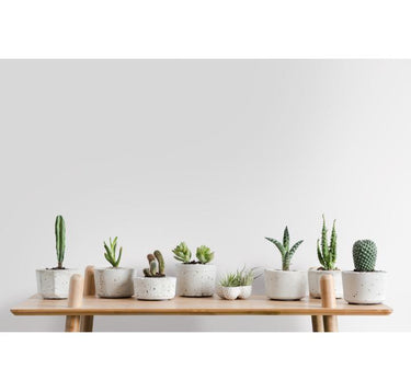 Porcelain - 122X340 cm - Mat