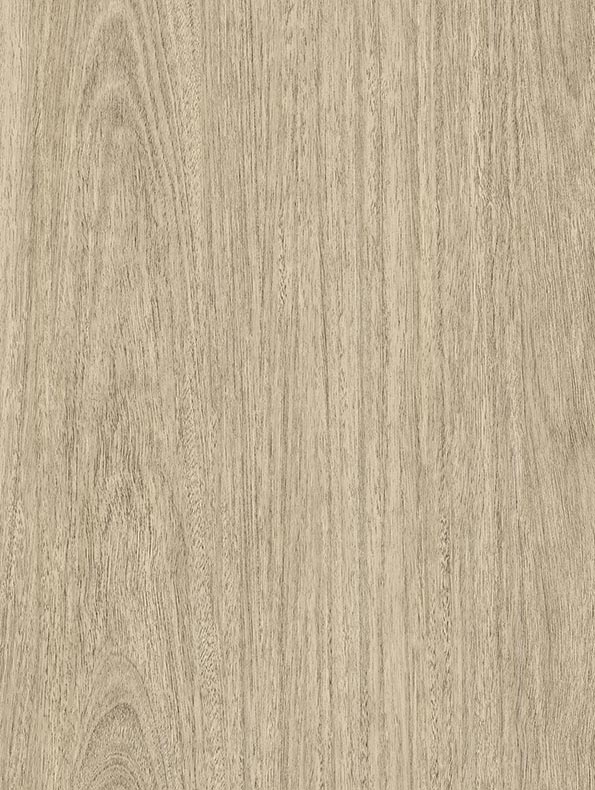 Eucalyptus - 122 cm - houtlook