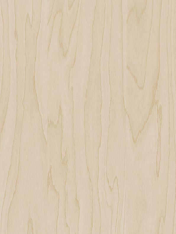 Gold Pale Birch - 122 cm - houtlook